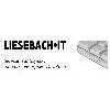 HOLGER LIESEBACH IT in Berlin - Logo