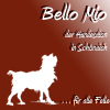 Bello Mio Hundesalon in Schönaich in Württemberg - Logo