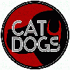 CAT4DOGS Hundeschule Hundeerziehung in Bielefeld - Logo