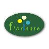 Ferienwohnung Papenburg Florinate in Papenburg - Logo