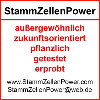 StammZellenPowerTeam in Mühltal in Hessen - Logo
