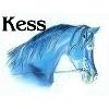 Preisvergleich und Preise vergleichen mit Firma Kess in Löcknitz in Vorpommern - Logo