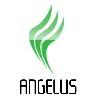 ANGELUS Managementberatung und Service KG in Eggenfelden - Logo