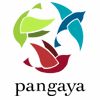 Pangaya - Praktikum im Ausland: Asien, Australien, Afrika, Südamerika, Frankreich, Karibik in Berlin - Logo