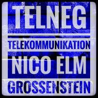 TelNEG - Telekommunikation Nico Elm Großenstein in Großenstein - Logo