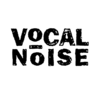 VoCAL NoISE - Schule für Gesang in Wetzlar - Logo