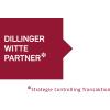 Dillinger Witte & Partner in Bremen - Logo
