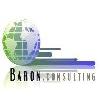 Baron-Consulting in Braunschweig - Logo