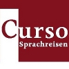 Curso eG in Berlin - Logo