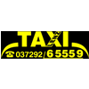Taxi Lenz in Oederan - Logo