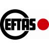 EFTAS Fernerkundung Technologietransfer GmbH in Münster - Logo