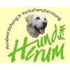 Bild zu Hundherum Bonn - Hundeschule, Hundeerziehung in Bonn