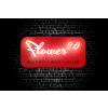 Flower 2.0 in Halle (Saale) - Logo