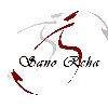 G.Golubets Sano Reha in Nürnberg - Logo