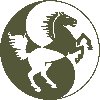 Pferde-Therapie-Direkt in Baesweiler - Logo