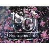 SG Hausoptimierung in Schmitten im Taunus - Logo