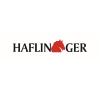 HAFLINGER iesse Schuh GmbH in Goslar - Logo