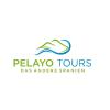 Pelayo Tours in Hamburg - Logo