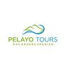 Pelayo Tours in Hamburg - Logo