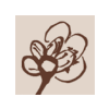 Blumen-Flair und mehr in Bad Vilbel - Logo