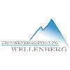 Trockeneisreinigung Wellenberg in Düsseldorf - Logo