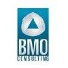 BMO Consulting in Uetze - Logo