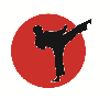 Budo-Shop Kampfsportartikel in Mannheim - Logo