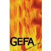 GEFA GmbH Heizen mit Holz Kachelofenvertrieb in Gullen Gemeinde Grünkraut - Logo