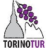 Torinotur.com Schwibinger in Taunusstein - Logo