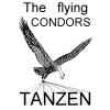The flying Condors GbR in Stockach - Logo