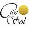 City Sol GmbH in Aschaffenburg - Logo