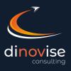 dinovise consulting in Dülmen - Logo