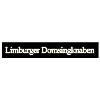 Limburger Domsingknaben in Hadamar - Logo