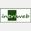 Intriweb.com Webdesign, Seo, Onlineshops in Trier - Logo