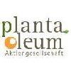 Planta Oleum AG in Leer in Ostfriesland - Logo