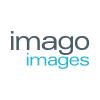 imago images – Stockfotos, Editorial und Creative Bilder in Berlin - Logo