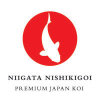 Niigata Nishikigoi - Premium Japan Koi - Händler NRW in Langenfeld im Rheinland - Logo