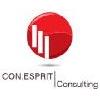 CON.ESPRIT Consulting in Moos am Bodensee - Logo