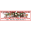 Chinese Boxing Akademie in Köln - Logo