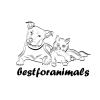 bestforanimals in Bergheim an der Erft - Logo