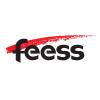 Heinrich Feess GmbH & Co. KG in Kirchheim unter Teck - Logo