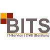 BIT Service in Kronberg im Taunus - Logo