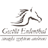 Gestüt Eulenthal in Unterpindhart Gemeinde Geisenfeld - Logo