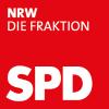 Wahlkreisbüro Anja Butschkau MdL (SPD) in Dortmund - Logo