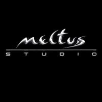 meltus Studio in Berlin - Logo