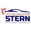 Kfz-Gutachten Stern in Griesheim in Hessen - Logo