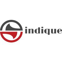 Indique in Chemnitz - Logo