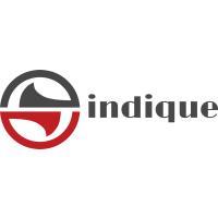 Indique in Chemnitz - Logo