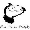 African Premium Hairstylez in Berlin - Logo