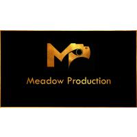 Meadow Production in Mücke - Logo